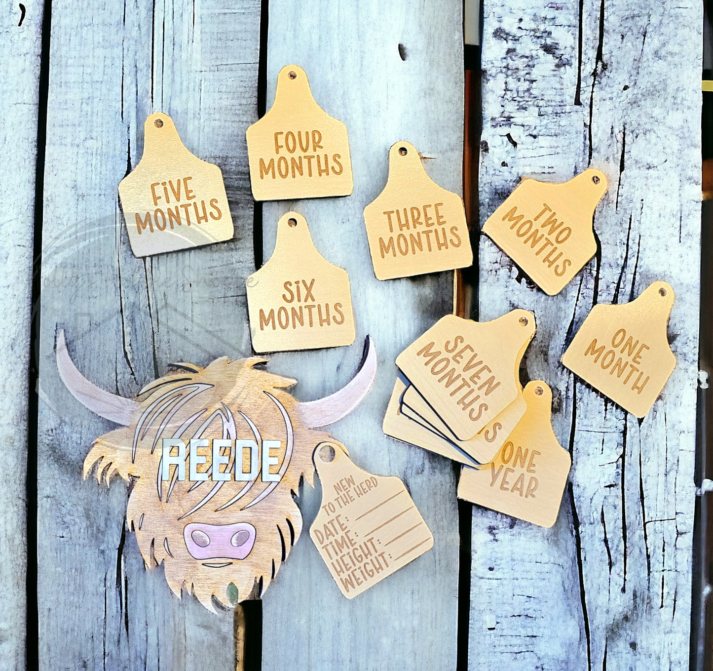 Newborn Monthly Markers | Cow